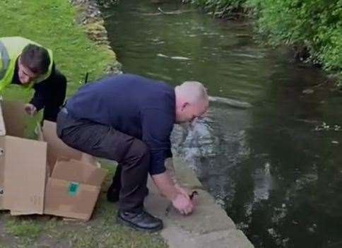 Security guards from Whitefriars in Canterbury helped to rescue a family of lost ducks. They were released in Greyfriars Garden Picture: Whitefriars Canterbury